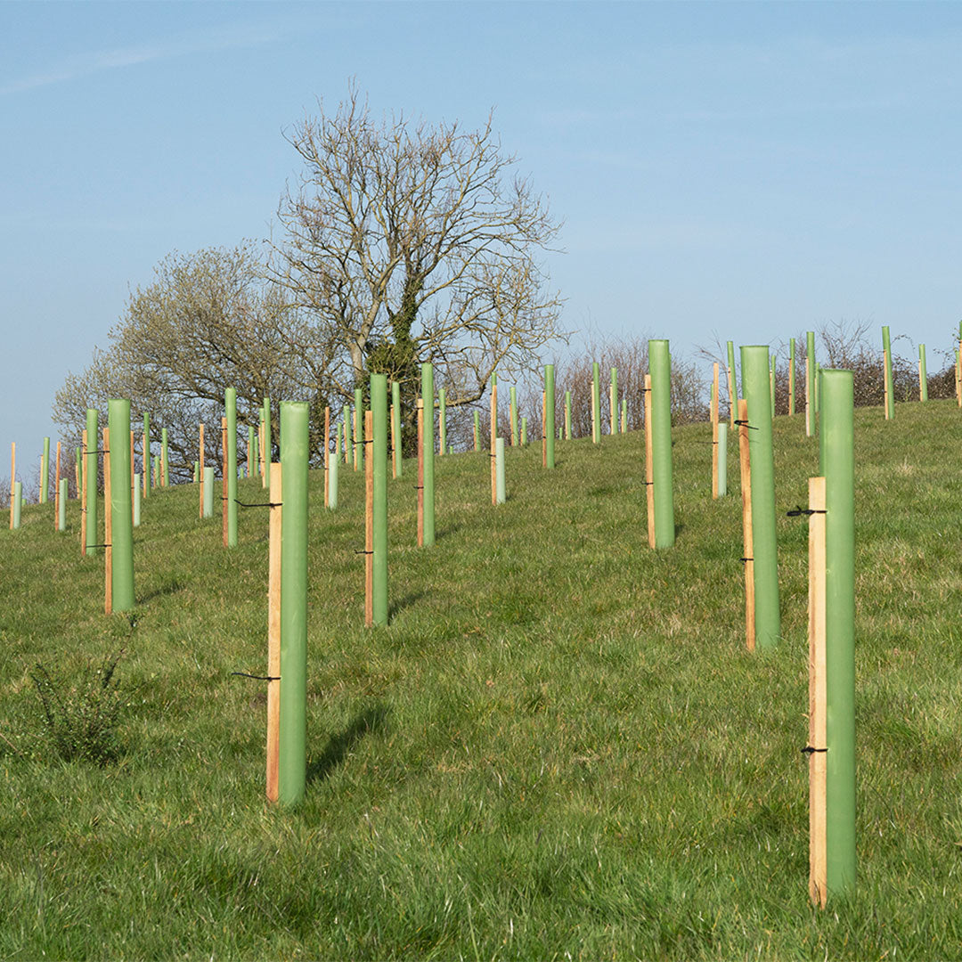 Dag van de Aarde 2023: we planten een bos